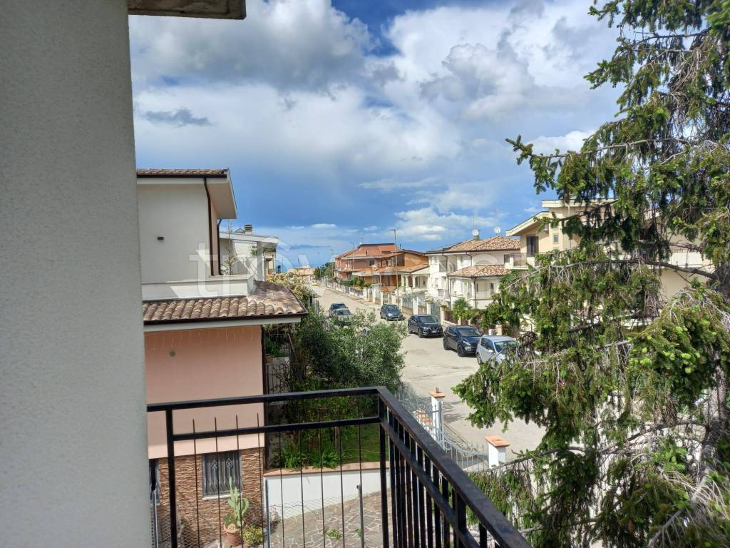immagine annuncio 3 di 14