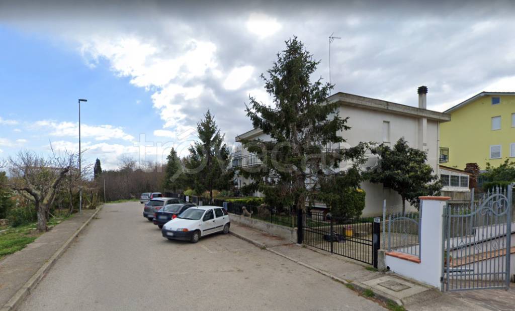 immagine annuncio 1 di 14