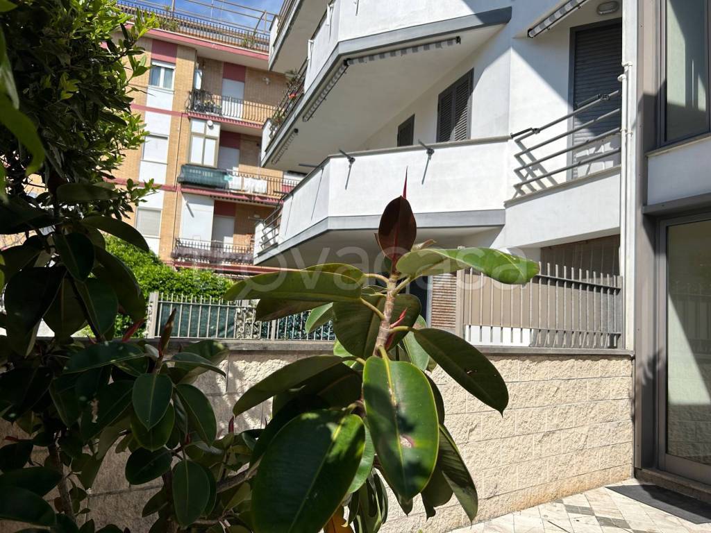 Appartamento in affitto ad Anzio via Derna, 10