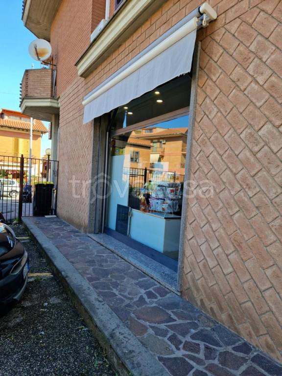 immagine annuncio 2 di 13