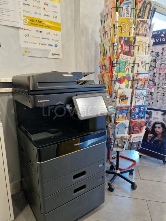 immagine annuncio 10 di 13