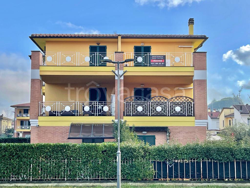 immagine annuncio 11 di 15