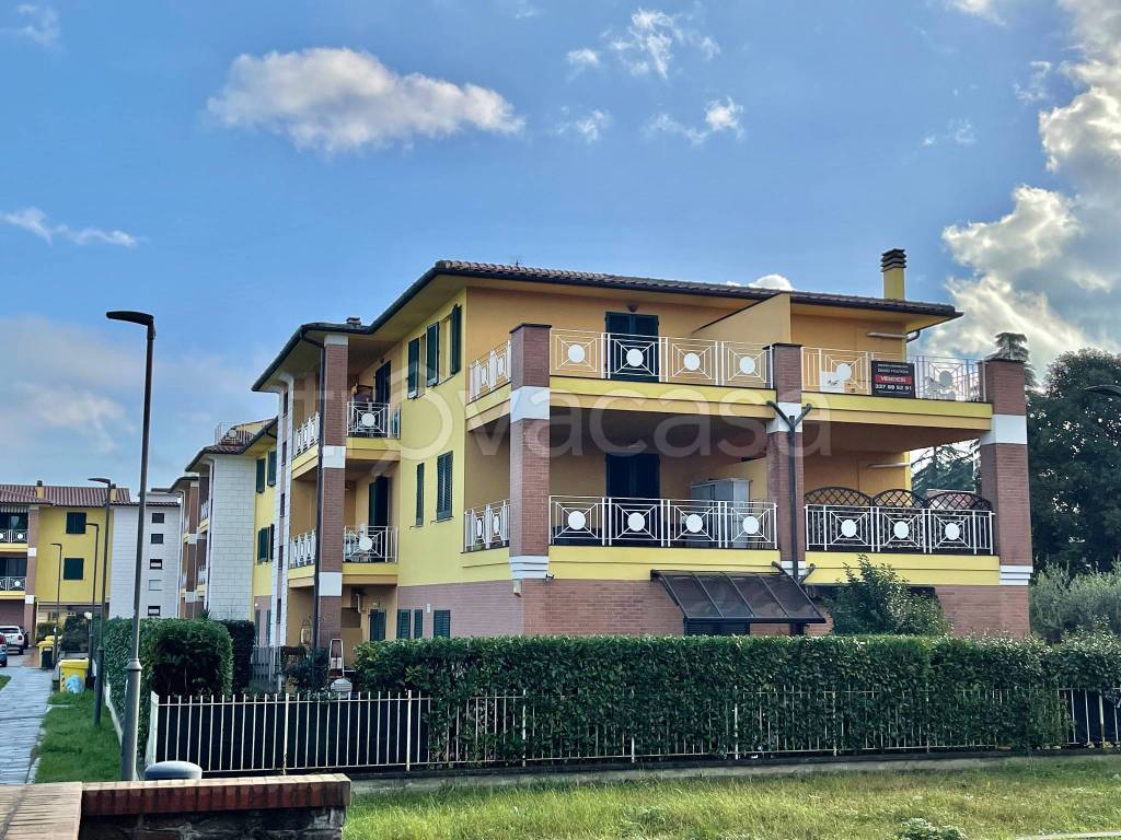 immagine annuncio 6 di 15