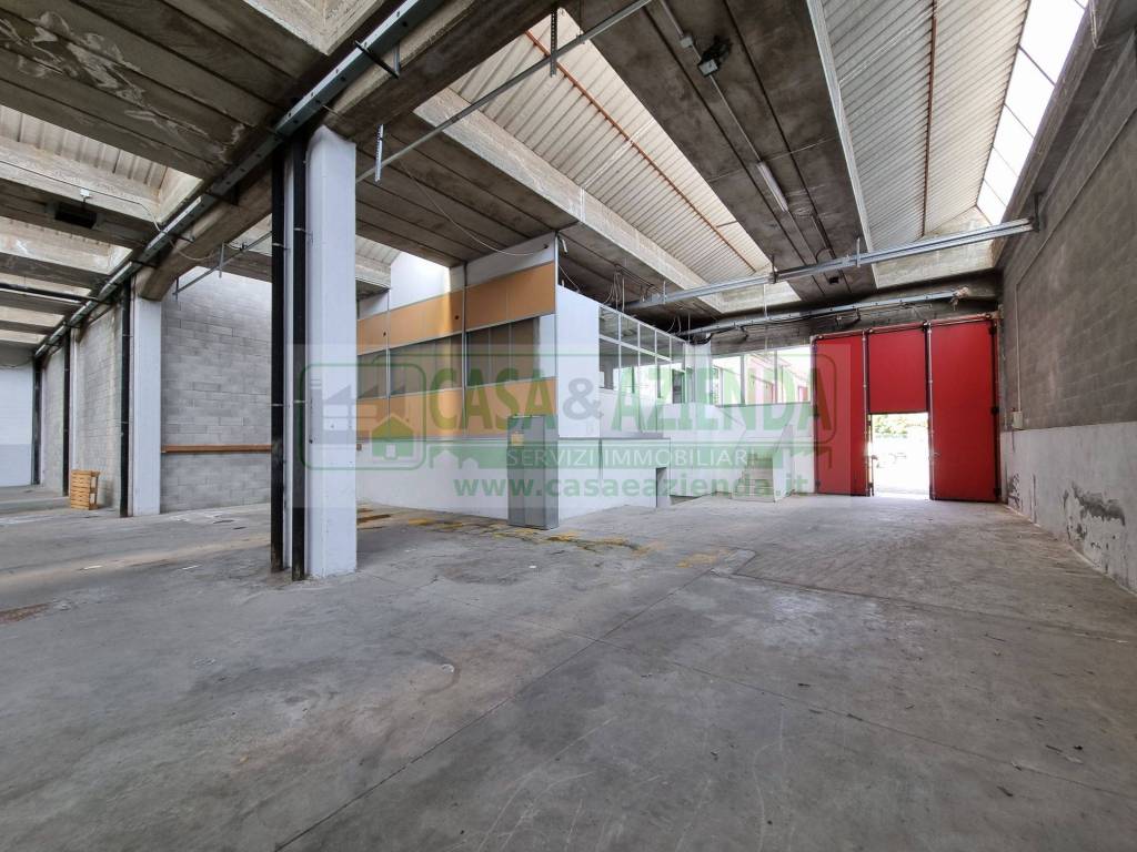 immagine annuncio 8 di 15