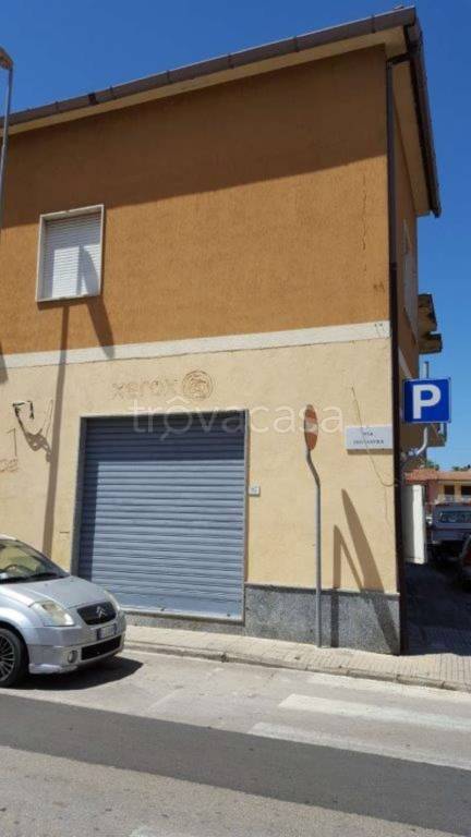 immagine annuncio 3 di 13