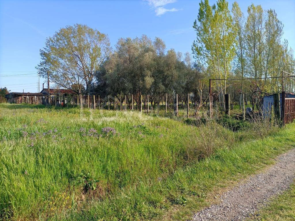 immagine annuncio 3 di 9
