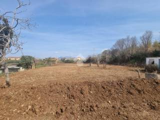 Terreno residenziale in vendita a diamante strada statale 18