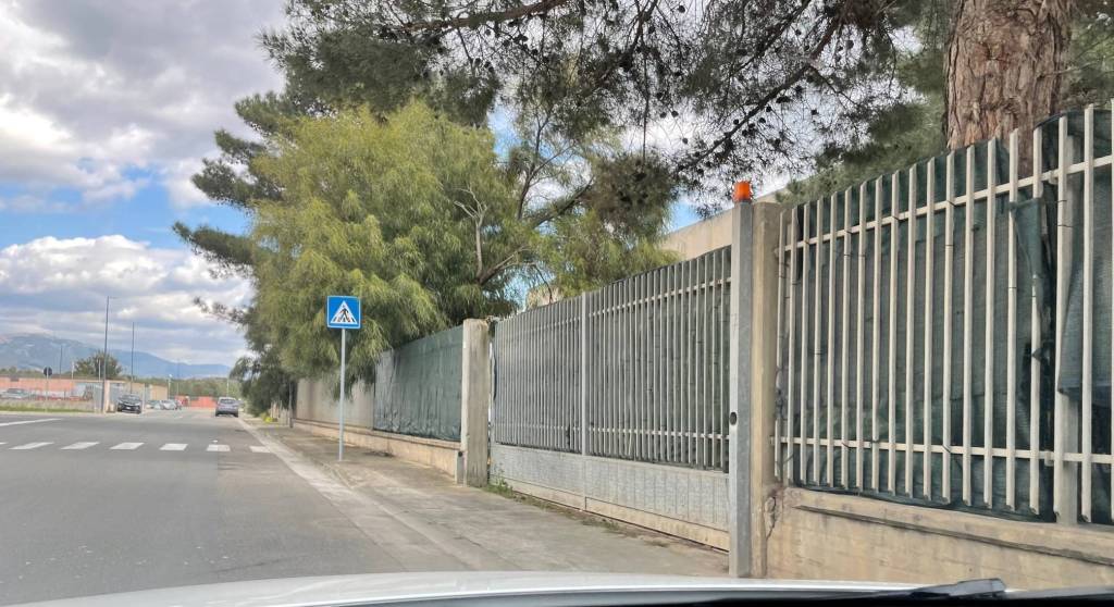 immagine annuncio 1 di 4