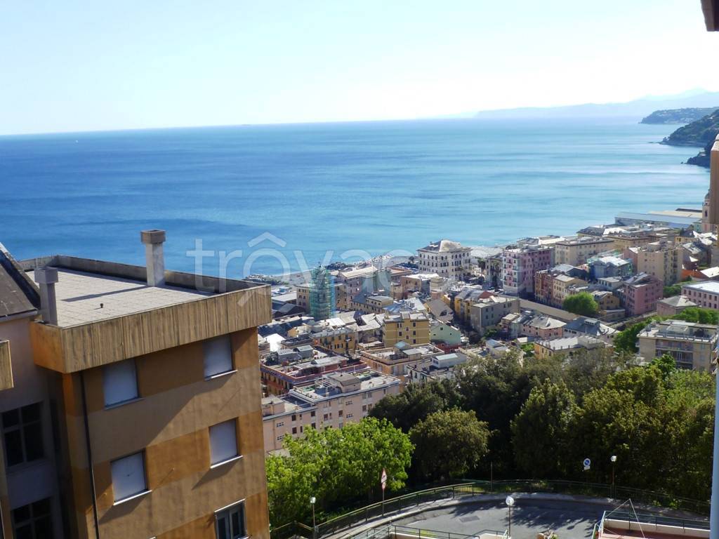 Appartamento in vendita a Genova via Vallecrosia
