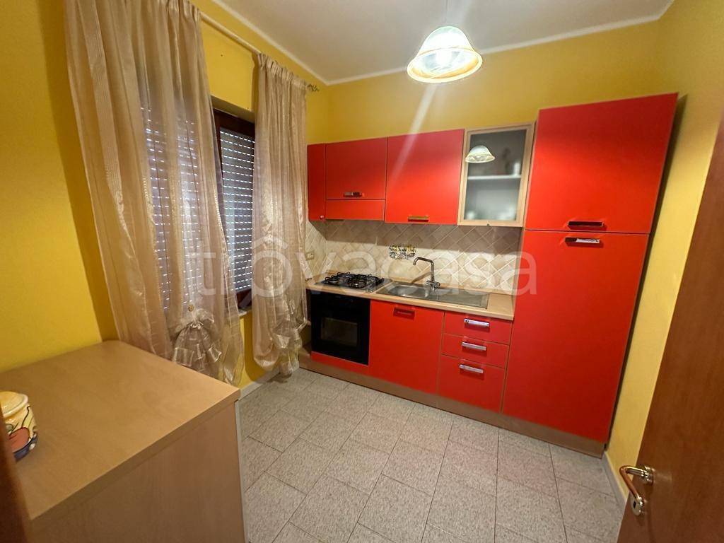 immagine annuncio 7 di 11