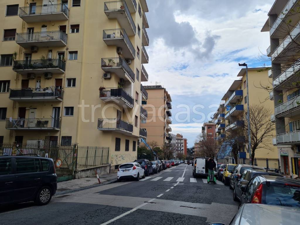 immagine annuncio 6 di 12