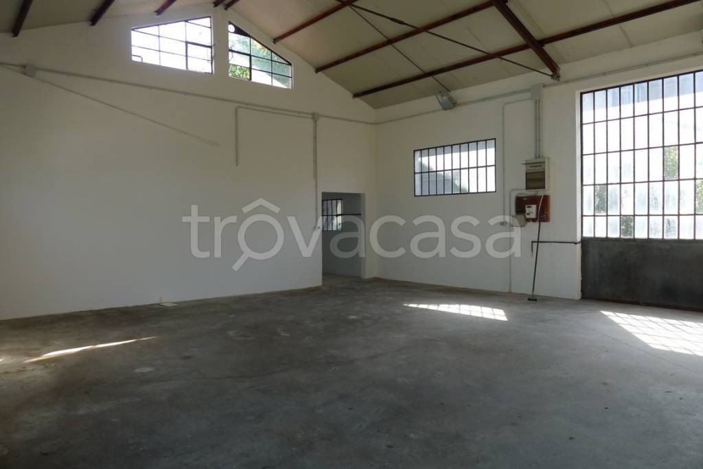 immagine annuncio 6 di 7