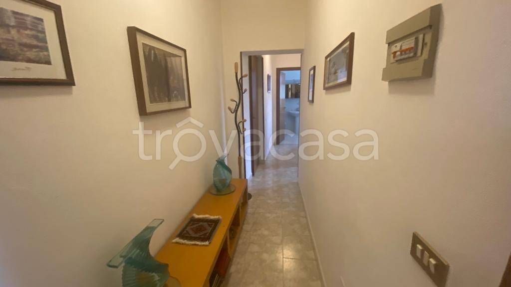 immagine annuncio 9 di 14