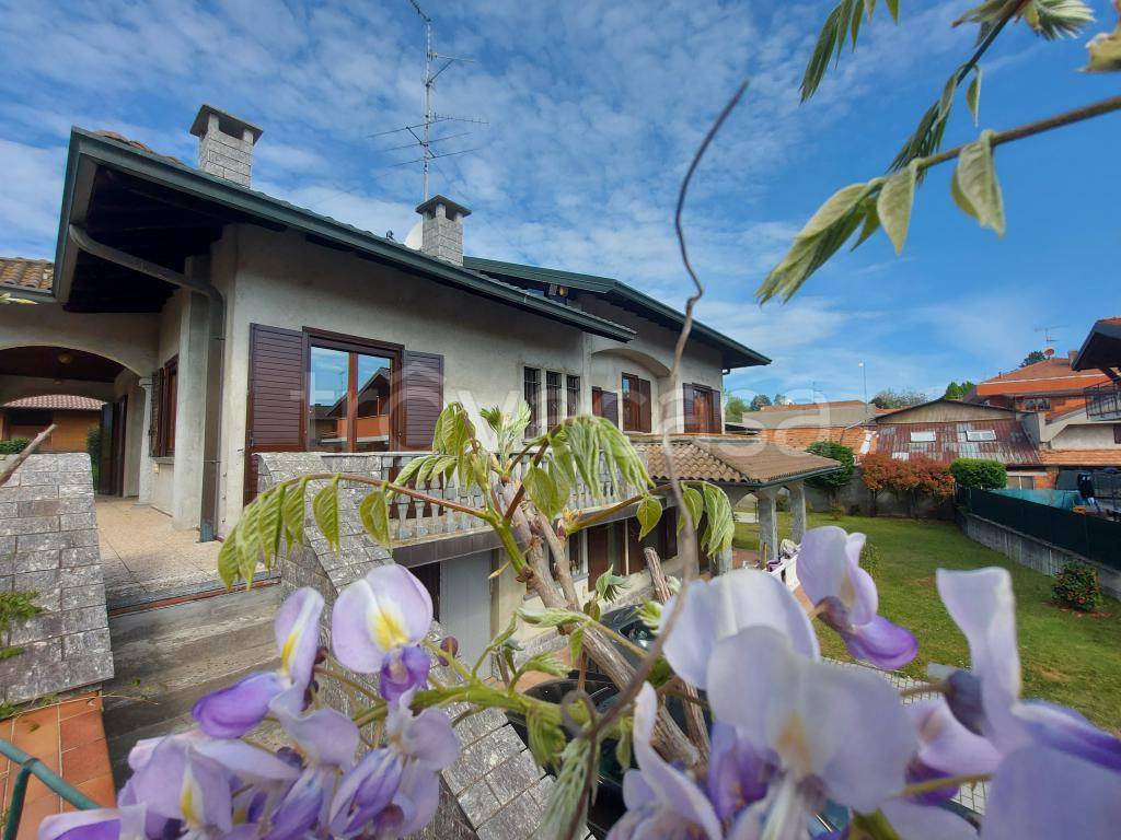 immagine annuncio 10 di 15