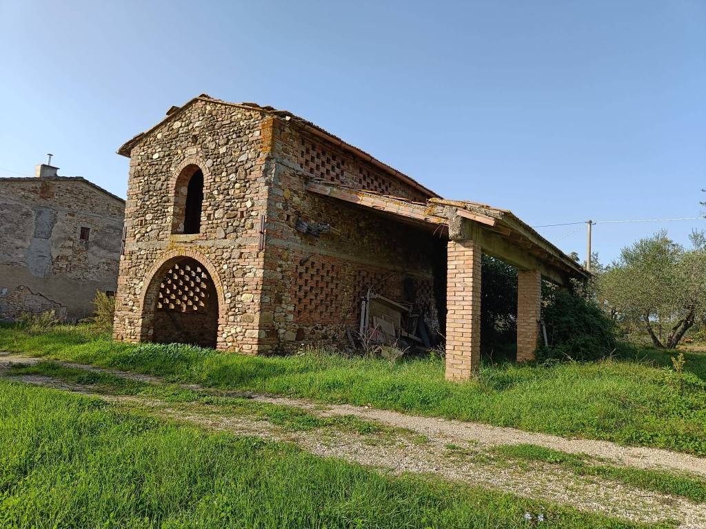 immagine annuncio 5 di 11