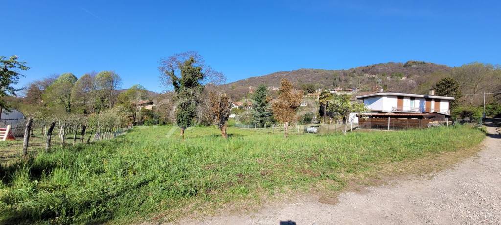 immagine annuncio 7 di 12