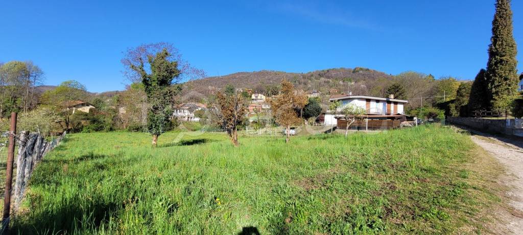 immagine annuncio 9 di 12