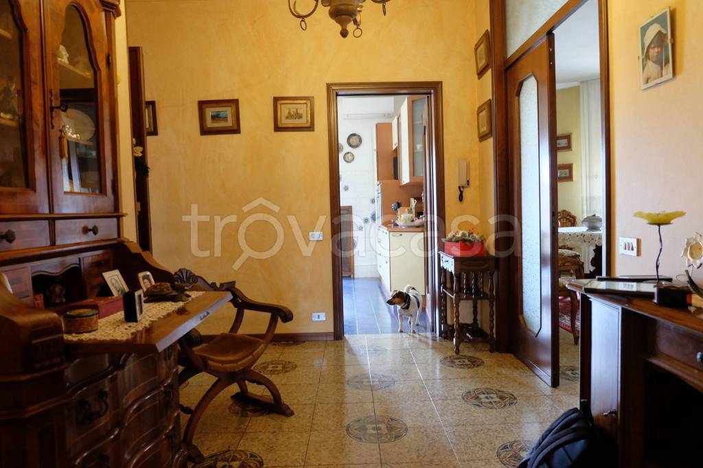 immagine annuncio 5 di 14