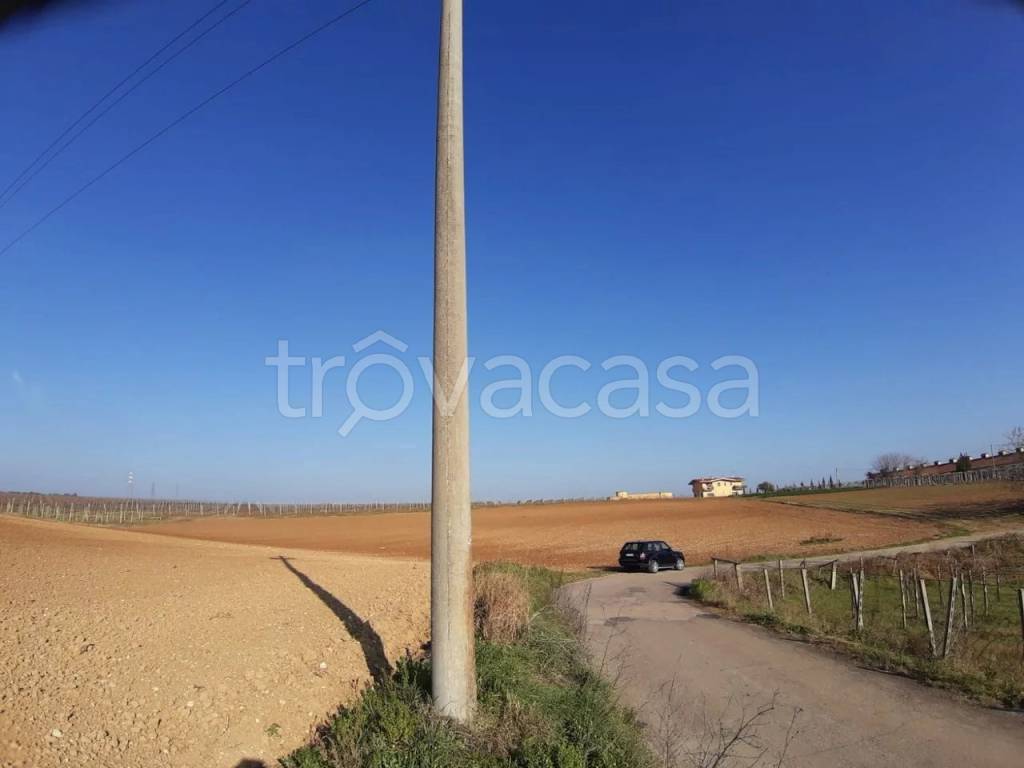 immagine annuncio 6 di 11