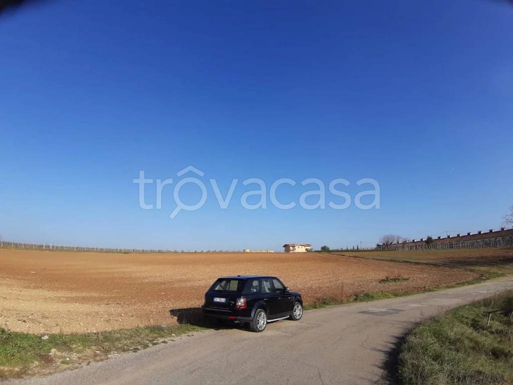 immagine annuncio 8 di 11