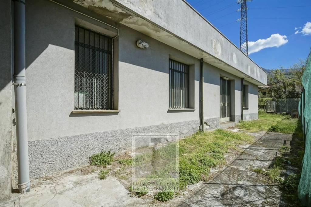 immagine annuncio 1 di 12