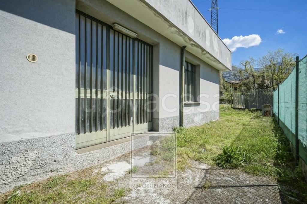 immagine annuncio 2 di 12