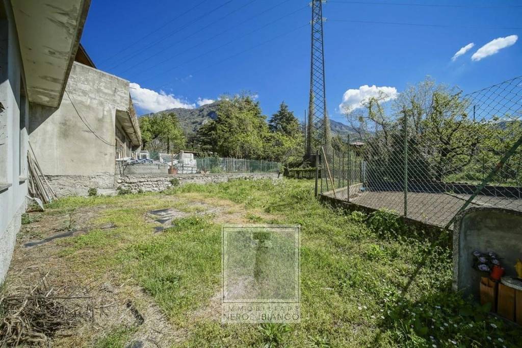 immagine annuncio 4 di 12