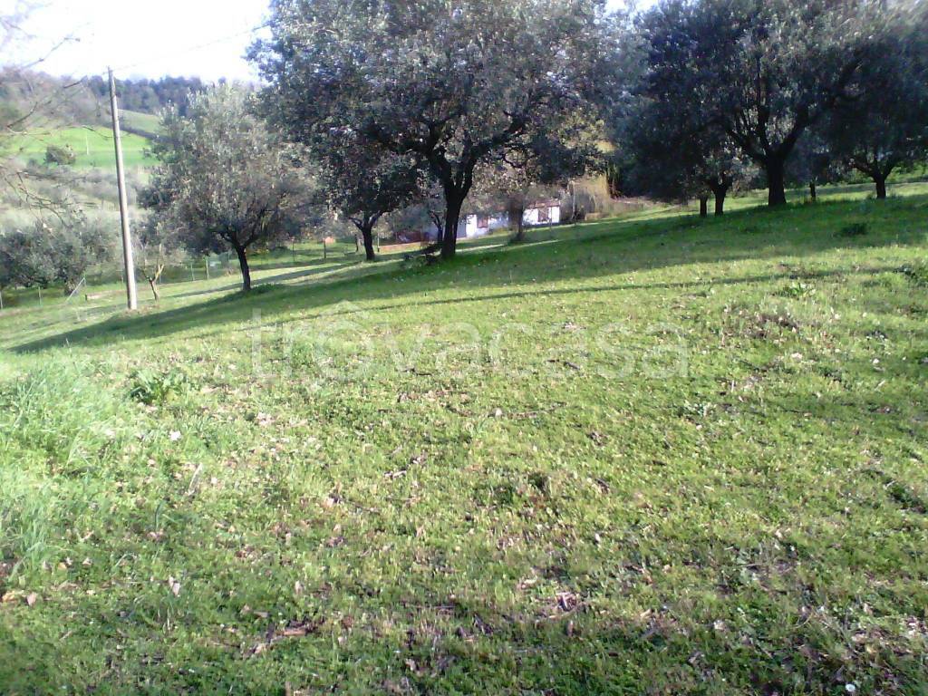 Terreno Agricolo in vendita a Fiumicino via Carlo Belviglieri