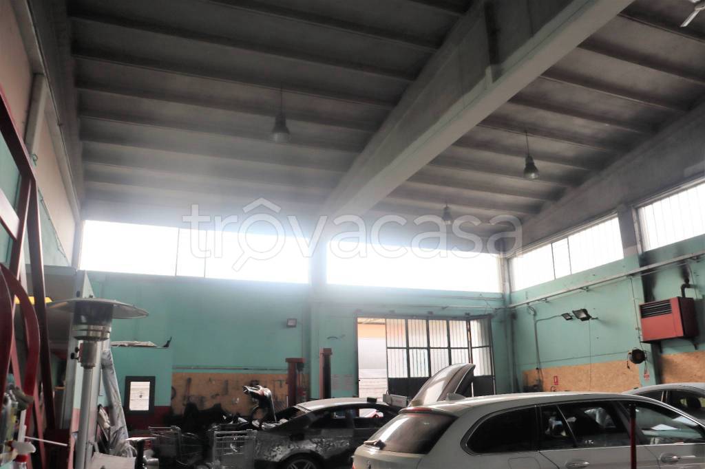 immagine annuncio 13 di 15