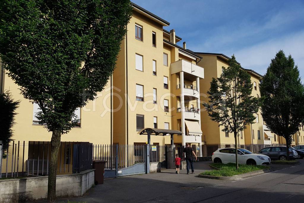 immagine annuncio 4 di 6