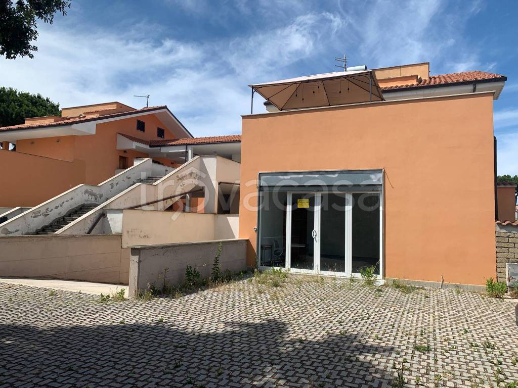 immagine annuncio 1 di 7