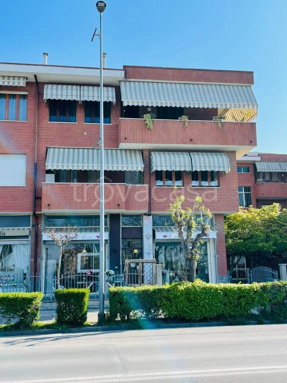 immagine annuncio 1 di 7