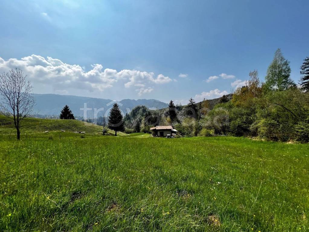immagine annuncio 9 di 11