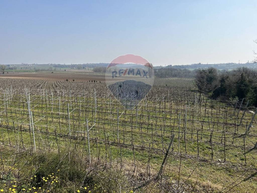 Terreno Agricolo in vendita a Villafranca di Verona via Custoza