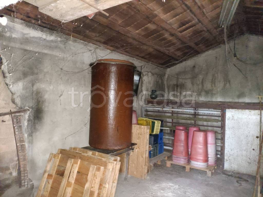 immagine annuncio 5 di 9