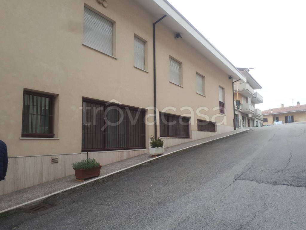 immagine annuncio 12 di 13