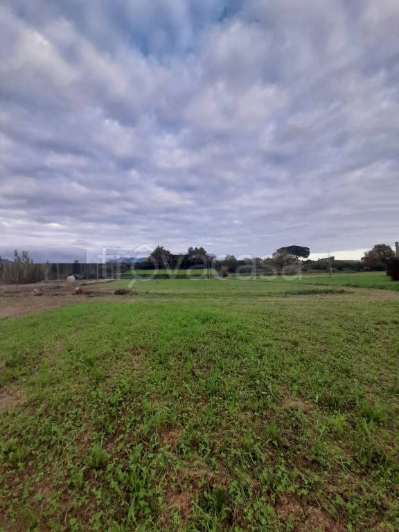 Terreno Agricolo in vendita a Lucca via per Camaiore