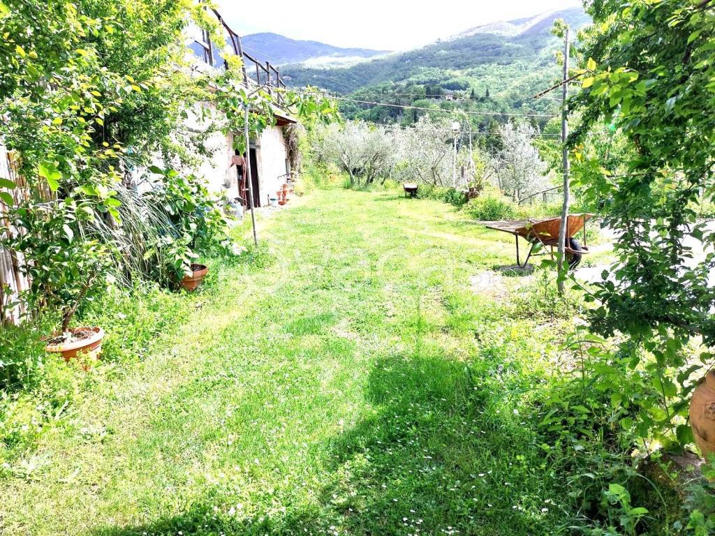 Terreno Agricolo in vendita a Castelfranco Piandiscò località San Godenzo