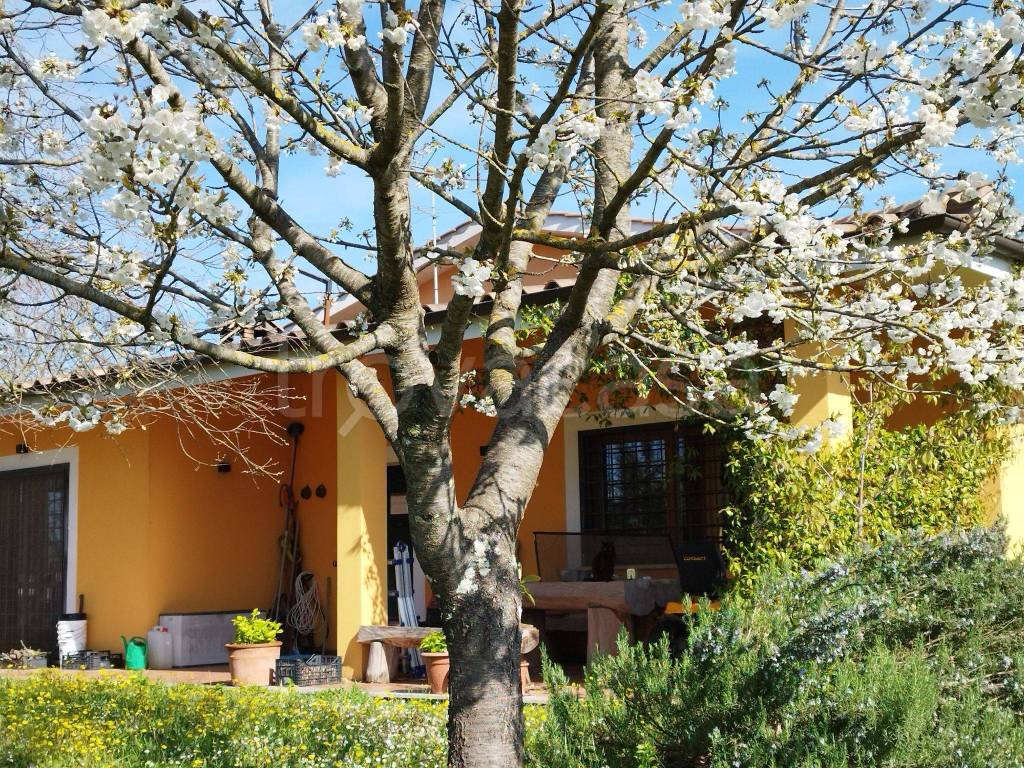 Villa in in vendita da privato a Rignano Flaminio via dei Montaroni, 26
