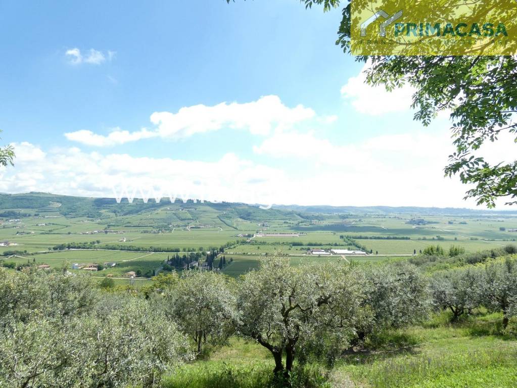 Terreno Agricolo in vendita a Lavagno via Passere