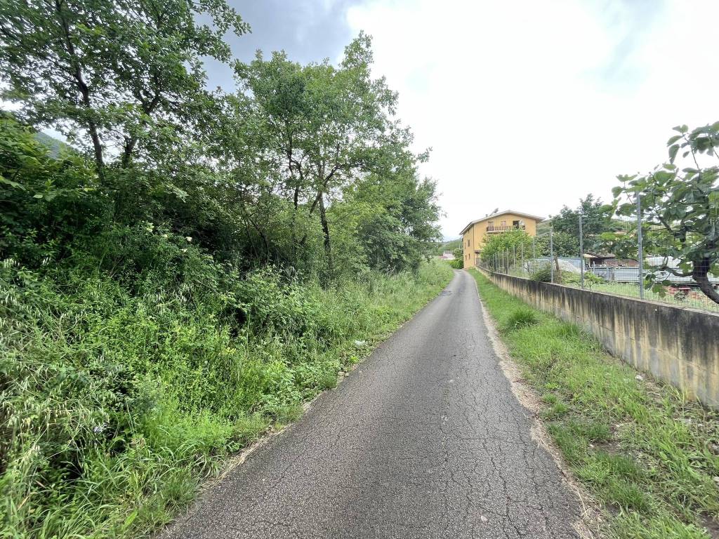 immagine annuncio 1 di 6