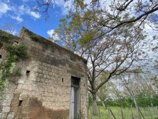 Terreno agricolo in vendita a palma campania 