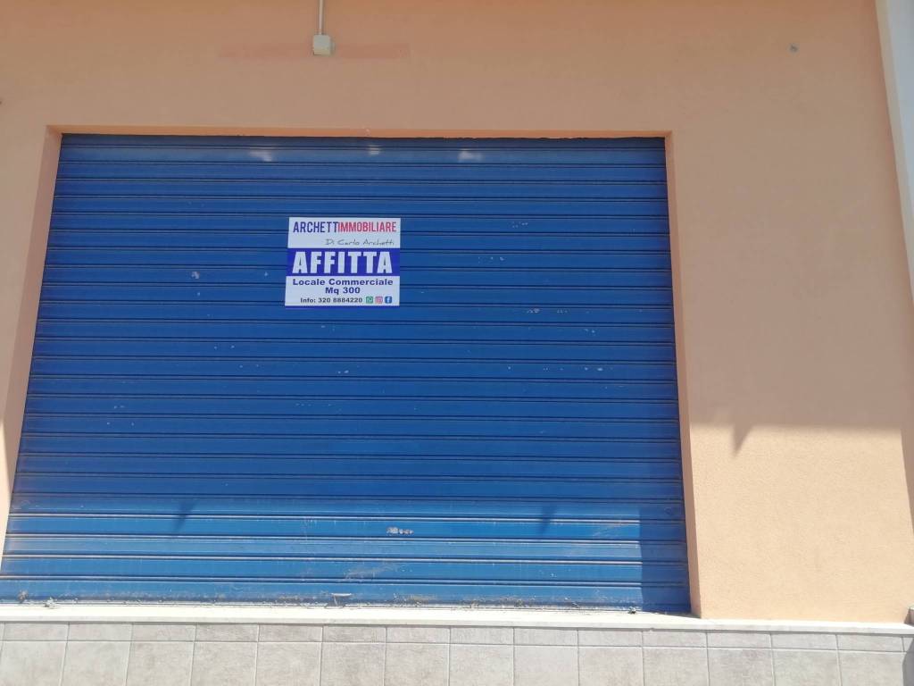 immagine annuncio 12 di 14