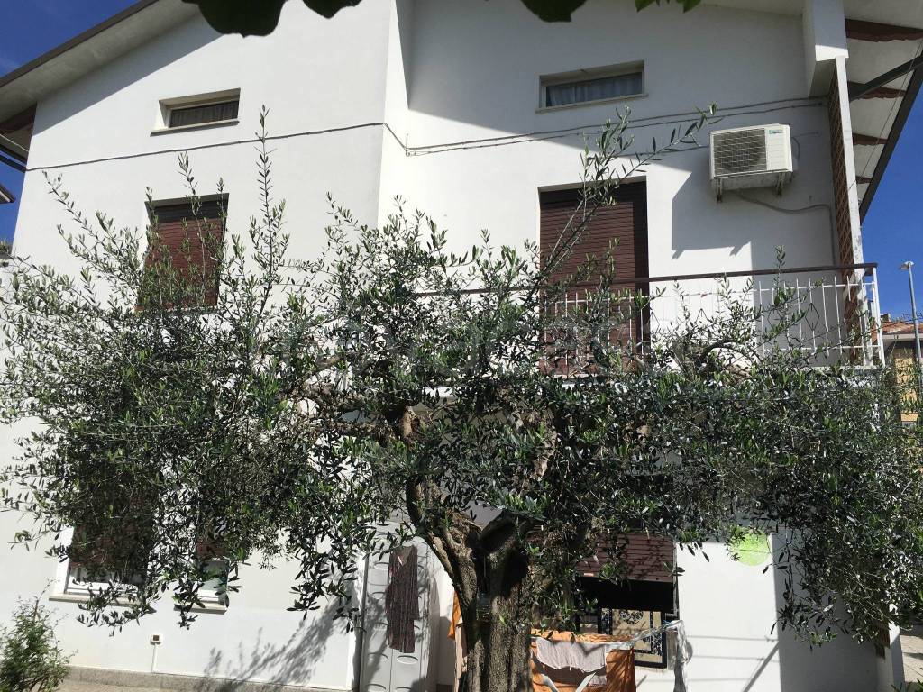 immagine annuncio 4 di 7