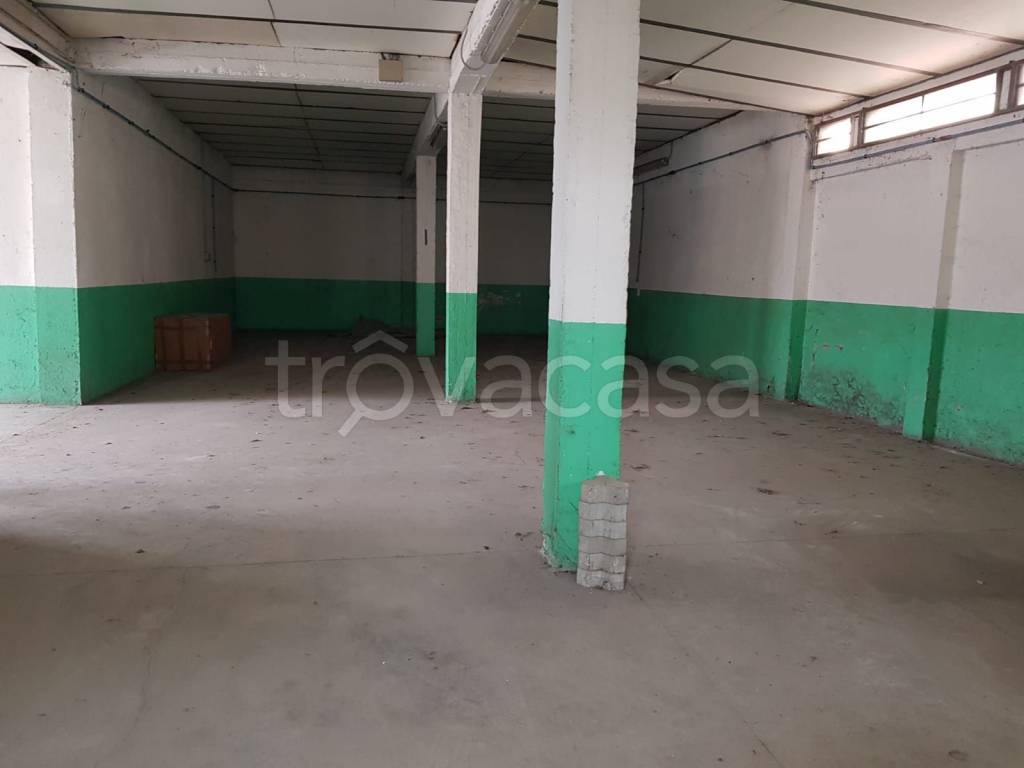 immagine annuncio 2 di 12