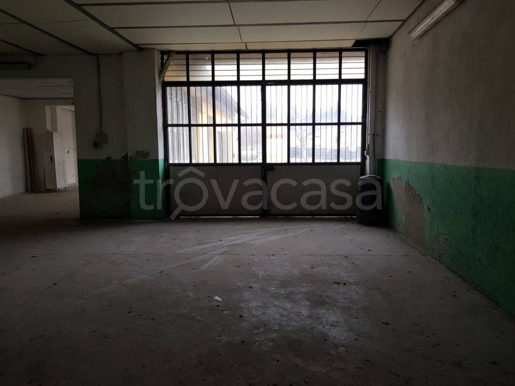 immagine annuncio 3 di 12