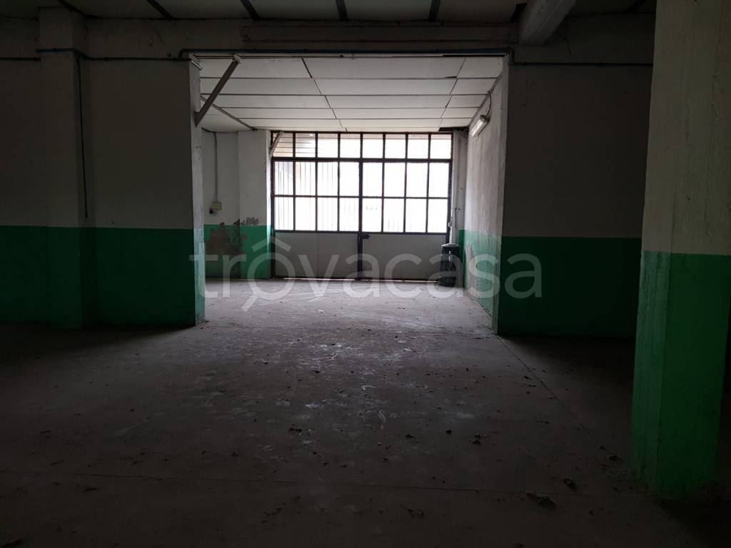 immagine annuncio 4 di 12