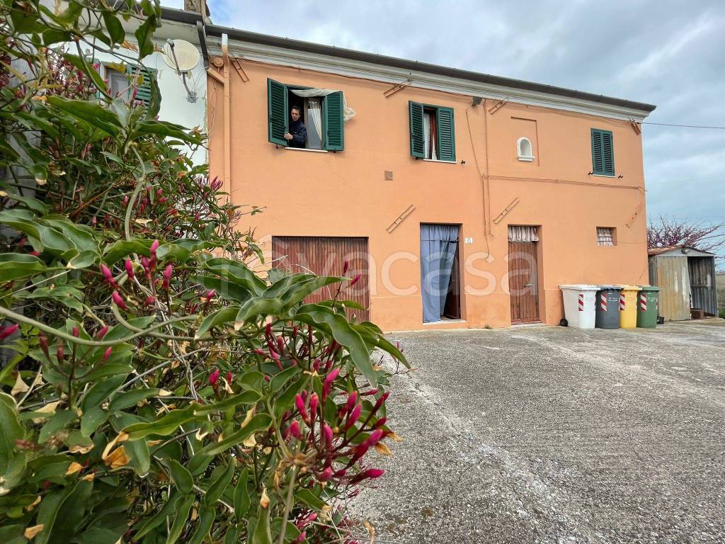 immagine annuncio 9 di 12
