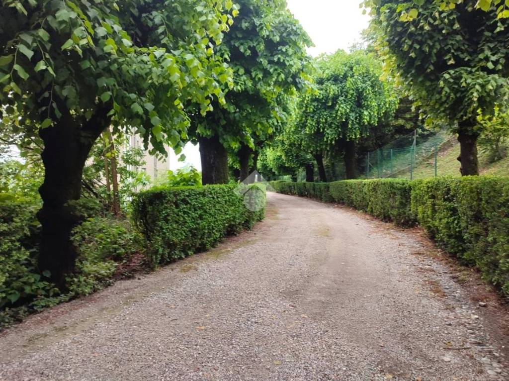immagine annuncio 2 di 6
