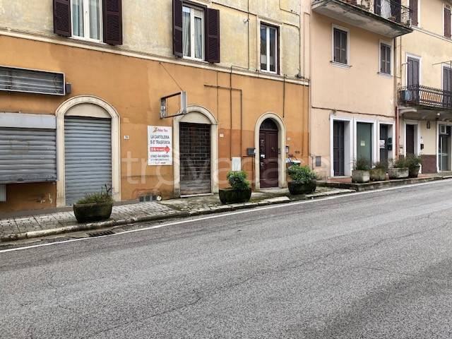 immagine annuncio 11 di 12